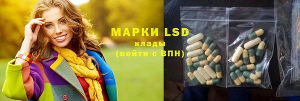 эйфоретик Баксан