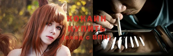 apvp Арсеньев