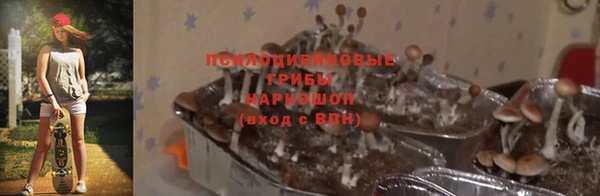 apvp Арсеньев