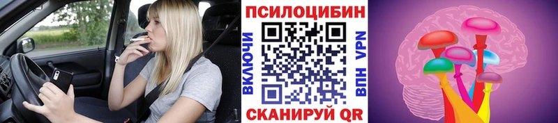 kraken ССЫЛКА  купить наркоту  Сорочинск  Псилоцибиновые грибы мицелий 